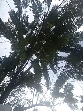 Camila-Valverde online show from January 31, 2026, 8:51 pm