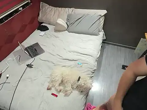 Bbydaddy 0 online show from January 19, 2026, 9:57 am