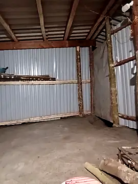 matbiec- online show from December 3, 2025, 2:38 pm