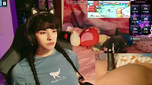 BimboCat online show from November 20, 2025, 2:56 am