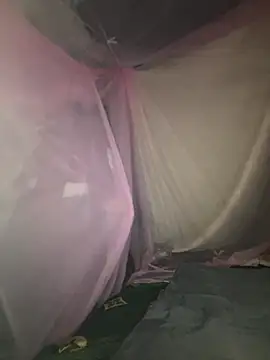 Snapshot of gino-sex chatting on November 28, 2025, 6:02 am gino-sex online show from November 28, 2025, 6:02 am