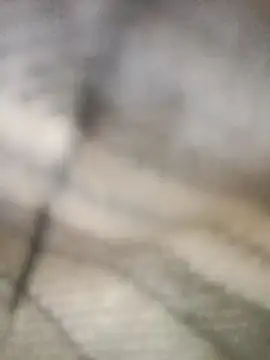 Pallu Asha online show from March 1, 2026, 4:23 am