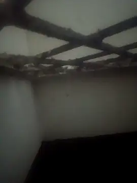 Pallu Asha online show from March 15, 2026, 3:52 pm