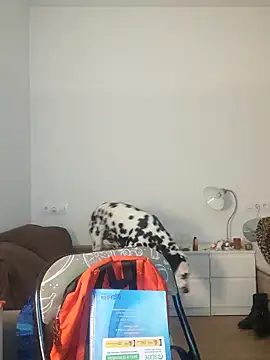 Dominantepollon89 online show from February 28, 2026, 1:38 am