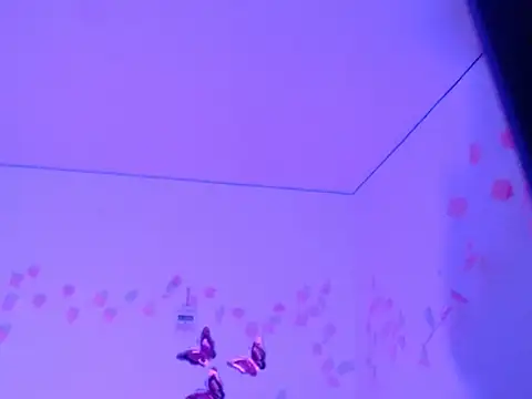 Snapshot of Samanta_777 chatting on November 26, 2025, 11:21 am Samanta 777 online show from November 26, 2025, 11:21 am