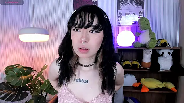 judaline  online show from November 12, 2025, 12:42 pm