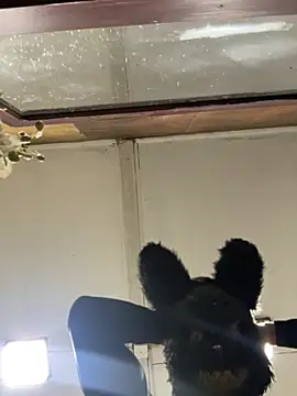 Elpichulotote20 online show from November 6, 2025, 12:14 am