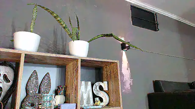 Snapshot of mickystrumia23 chatting on February 3, 2026, 7:08 pm mickystrumia23 online show from February 3, 2026, 7:08 pm