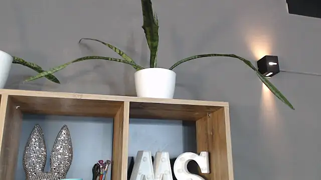 Snapshot of mickystrumia23 chatting on January 6, 2026, 6:34 pm mickystrumia23 online show from January 6, 2026, 6:34 pm