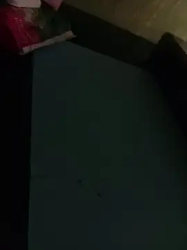 Snapshot of Misiek11123 chatting on November 4, 2025, 9:29 pm Misiek11123 online show from November 4, 2025, 9:29 pm