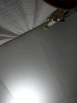 naughtygoddesss  online show from February 8, 2026, 4:10 am