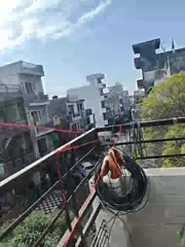 Snapshot of sexychd chatting on December 15, 2025, 4:40 am sexychd online show from December 15, 2025, 4:40 am