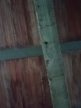 Megan2026 online show from February 19, 2026, 11:12 pm