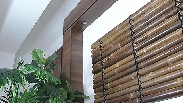 Snapshot of FayeSlate chatting on November 12, 2025, 5:00 am FayeSlate online show from November 12, 2025, 5:00 am