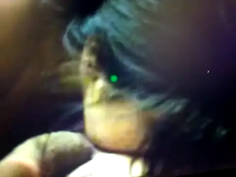 Snapshot of BdTinyDick chatting on March 19, 2026, 7:58 pm BdTinyDick online show from March 19, 2026, 7:58 pm