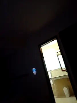 Snapshot of TurkyHouse chatting on March 21, 2026, 4:46 am TurkyHouse online show from March 21, 2026, 4:46 am