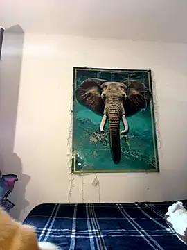 Snapshot of alisaa_jhons1 chatting on December 14, 2025, 4:56 pm alisaa jhons1 online show from December 14, 2025, 4:56 pm