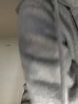 SITHANDRAH online show from January 15, 2026, 1:47 pm