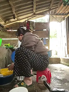 Dilen 7533 online show from November 20, 2025, 12:55 am