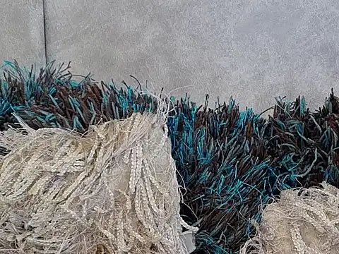 Snapshot of LannyShell chatting on November 26, 2025, 5:24 pm LannyShell online show from November 26, 2025, 5:24 pm