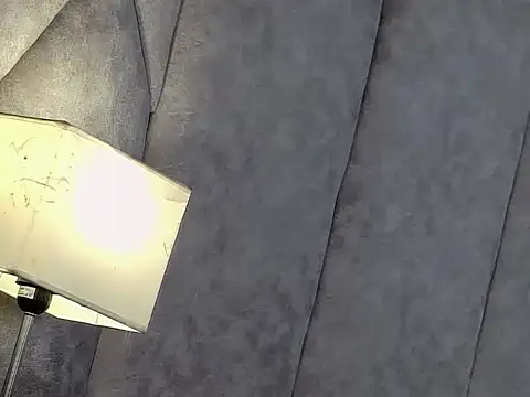 Snapshot of LannyShell chatting on November 29, 2025, 5:02 pm LannyShell online show from November 29, 2025, 5:02 pm