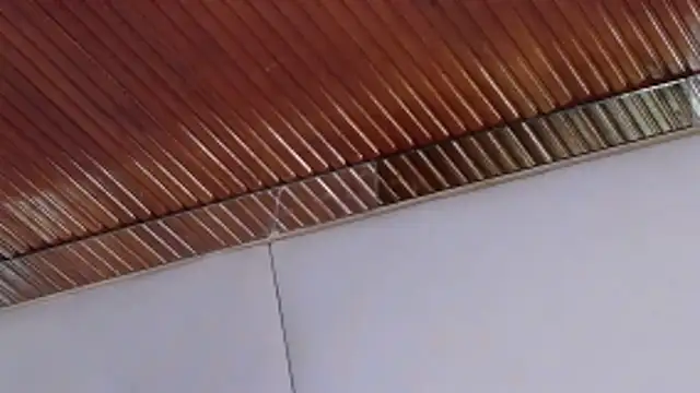 Snapshot of LannyShell chatting on February 26, 2026, 5:24 pm LannyShell online show from February 26, 2026, 5:24 pm