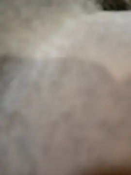 Telonet online show from April 19, 2026, 10:16 am