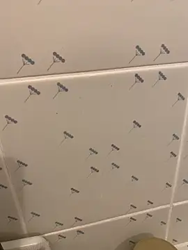 takekichi online show from March 25, 2026, 8:25 am