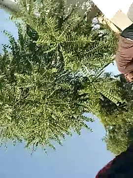 Snapshot of mukeshbhakar chatting on November 9, 2025, 4:27 am mukeshbhakar online show from November 9, 2025, 4:27 am