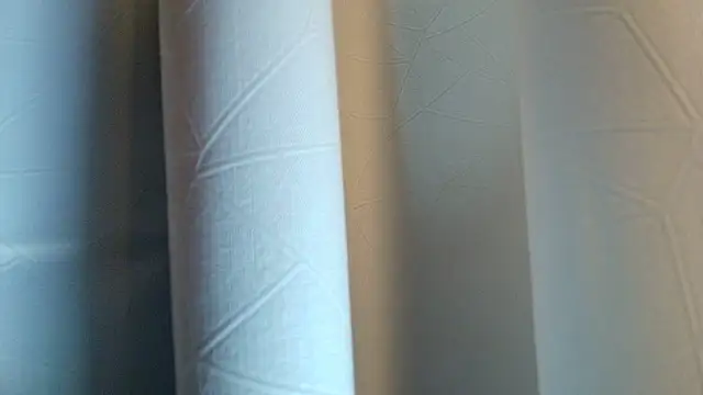 Snapshot of LilyFox_t chatting on November 11, 2025, 1:28 pm LilyFox t online show from November 11, 2025, 1:28 pm