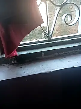 hotyyyyjonny online show from November 18, 2025, 6:17 am