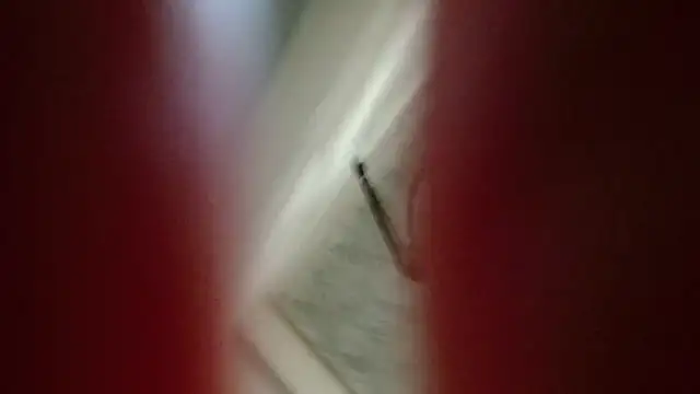 Natali-Gucci online show from November 12, 2025, 10:02 pm