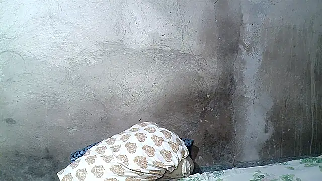 xwindyxxx online show from February 19, 2026, 6:43 am