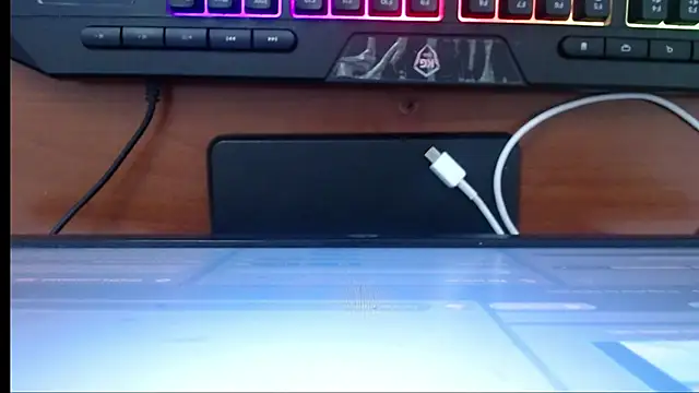 Snapshot of Little-rouse chatting on December 13, 2025, 11:44 pm Little-rouse online show from December 13, 2025, 11:44 pm