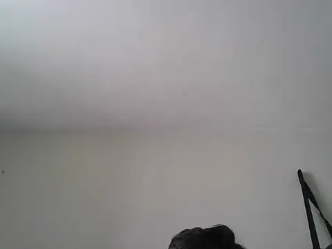 ivana latina online show from November 14, 2025, 6:11 pm