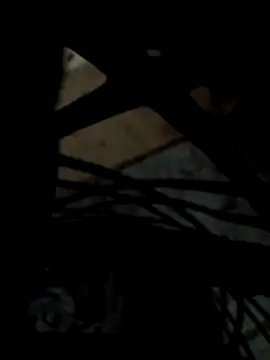 Heterobusca online show from April 13, 2026, 6:50 am