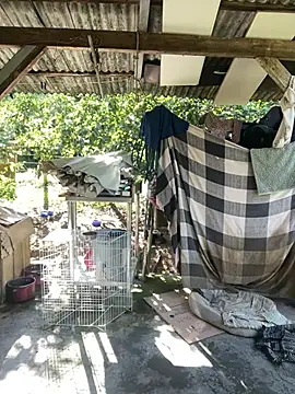 Monahliza online show from February 11, 2026, 11:32 am