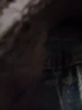 Snapshot of Lynk2x chatting on November 19, 2025, 4:56 am Lynk2x online show from November 19, 2025, 4:56 am