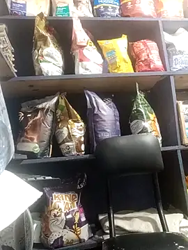 Snapshot of eva_rushh chatting on March 9, 2026, 10:57 pm eva rushh online show from March 9, 2026, 10:57 pm