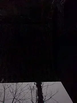 Snapshot of pitty_mymi chatting on February 23, 2026, 11:16 pm pitty mymi online show from February 23, 2026, 11:16 pm