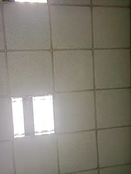 platone09 online show from January 16, 2026, 1:59 pm