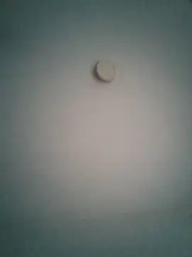 Ratacrocante online show from February 3, 2026, 7:41 pm