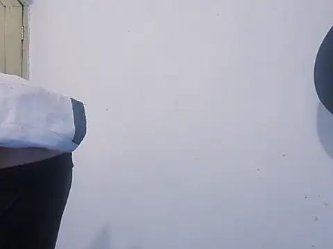 syndyc1 online show from November 18, 2025, 2:09 pm