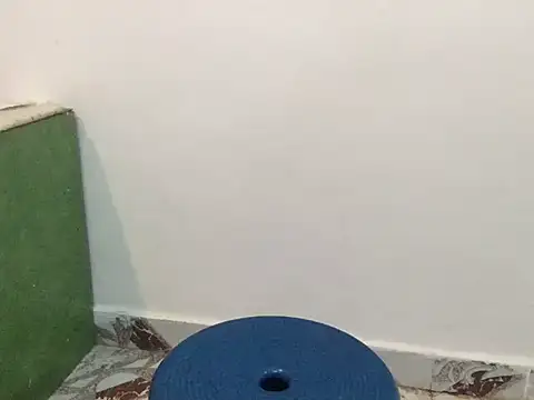 raveena hot online show from March 8, 2026, 1:25 pm