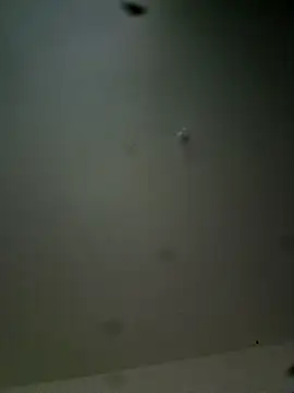 Hardwarelane67 online show from March 23, 2026, 12:05 pm