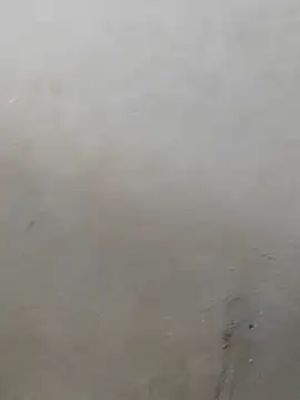 Snapshot of fpic chatting on February 3, 2026, 11:37 am fpic online show from February 3, 2026, 11:37 am