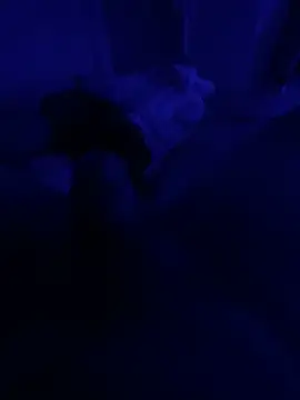 Snapshot of darknebula80 chatting on February 10, 2026, 9:14 pm darknebula80 online show from February 10, 2026, 9:14 pm