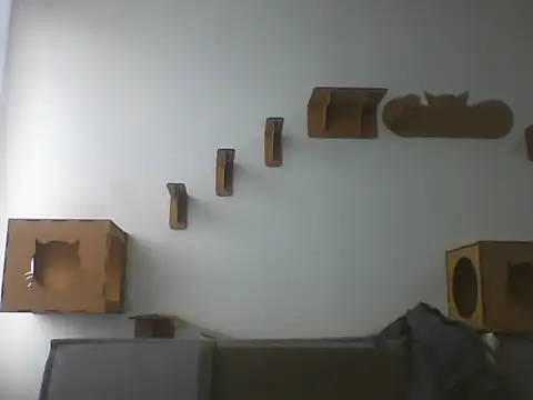 Temp7 online show from February 22, 2026, 1:24 pm