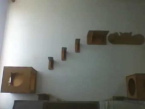 Snapshot of Temp7 chatting on March 7, 2026, 12:10 pm Temp7 online show from March 7, 2026, 12:10 pm