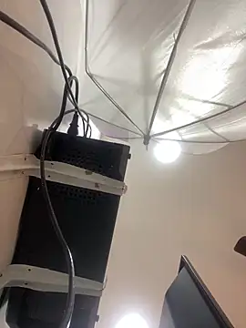 Snapshot of Aria_Kitty chatting on November 30, 2025, 11:44 am Aria Kitty online show from November 30, 2025, 11:44 am